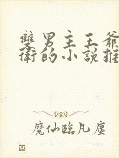 双男主王爷和暗卫的小说推文