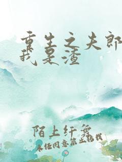 重生之夫郎以为我是渣