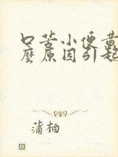 口苦小便黄是什么原因引起的