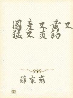 国产又黄又粗又猛又爽的