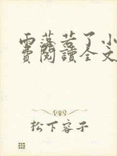 雨落若了小说免费阅读全文最新章节