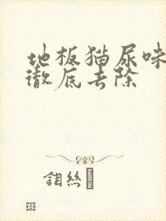 地板猫尿味怎么彻底去除