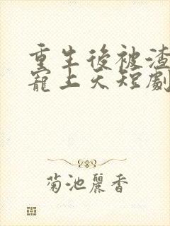 重生后被渣舅舅宠上天短剧