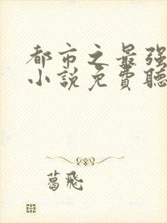 都市之最强狂兵小说免费听书