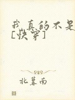 我真的不是渣攻[快穿]