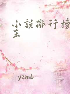 小说排行榜双男主