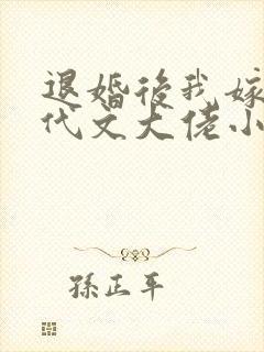 退婚后我嫁给年代文大佬小说