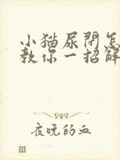 小猫尿闭怎么办教你一招解决