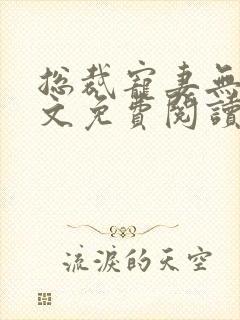 总裁宠妻无度全文免费阅读