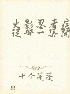 火影忍者疾风传从哪一集开始