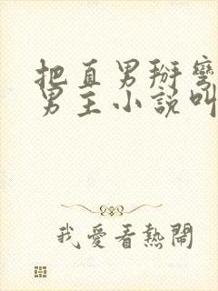 把直男掰弯的双男主小说叫什么