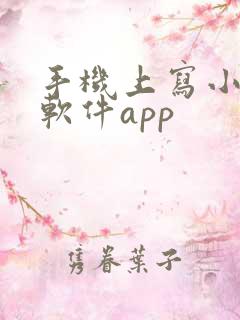 手机上写小说的软件app