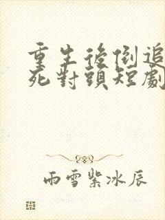 重生后倒追渣男死对头短剧