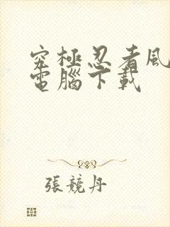 究极忍者风暴4电脑下载