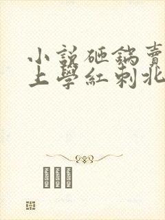 小说砸锅卖铁去上学红刺北那里可以看