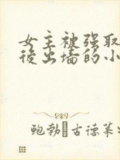 女主被强取豪夺后出墙的小说