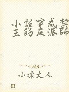 小说穿成禁欲男主的反派师尊更新