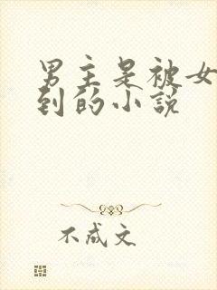 男主是被女主捡到的小说