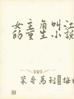 女主角叫江晚吟的重生小说