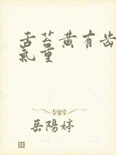 舌苔黄有齿痕湿气重