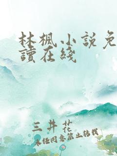 林枫小说免费阅读在线