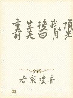 重生后我顶替了前夫白月光结局