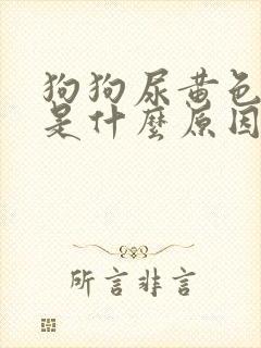 狗狗尿黄色的尿是什么原因