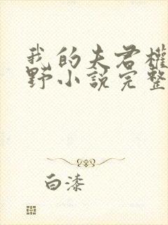 我的夫君权倾朝野小说完整版