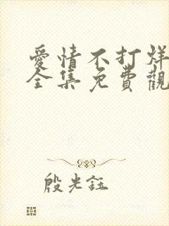 爱情不打烊短剧全集免费观看高清版