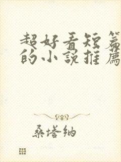 超好看短篇言情的小说推荐