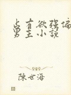 占有欲强偏执双男主小说