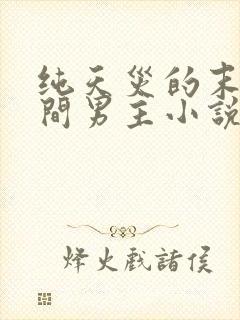 纯天灾的末世空间男主小说