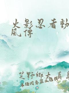 火影忍者动画疾风传