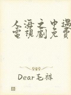 人海之中遇见你电视剧免费观看完整版