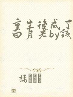 重生后成了前夫白月光by钱子冉