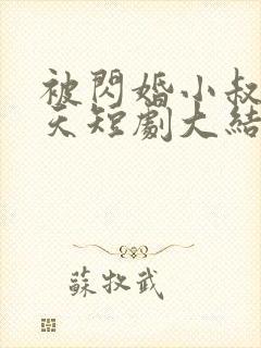 被闪婚小叔宠上天短剧大结局