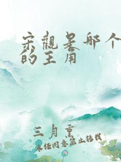 宋观是哪个小说的主角