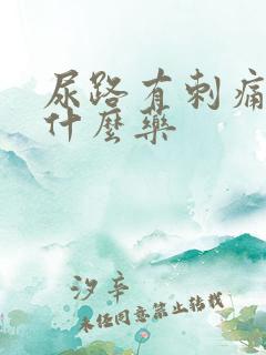 尿路有刺痛感吃什么药