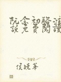 阮念初骆淮景小说免费阅读