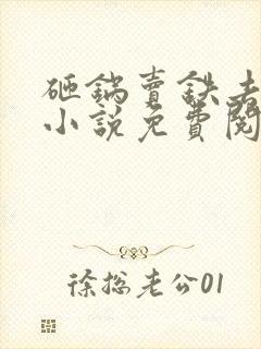 砸锅卖铁去上学小说免费阅读全文