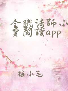 全职法师小说免费阅读app