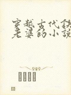 穿越古代铁匠选老婆的小说