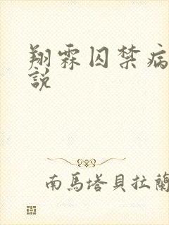 翔霖囚禁病娇小说