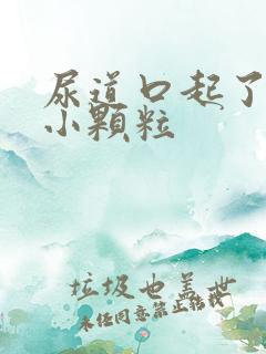 尿道口起了很多小颗粒