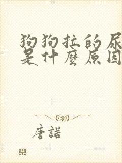 狗狗拉的尿红色是什么原因