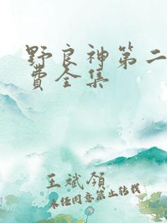 野良神第二季免费全集