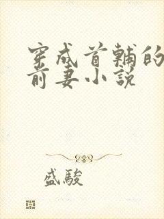 穿成首辅的炮灰前妻小说