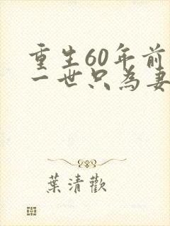 重生60年前这一世只为妻儿短剧免费全集