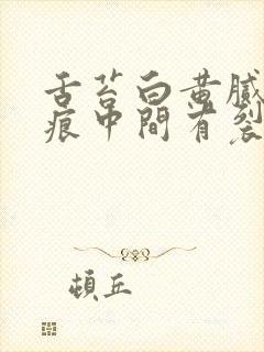 舌苔白黄腻有齿痕中间有裂纹