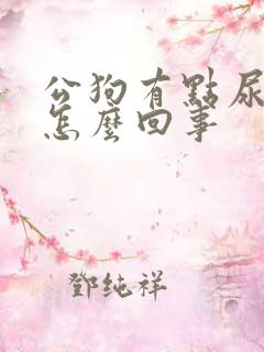 公狗有点尿血是怎么回事